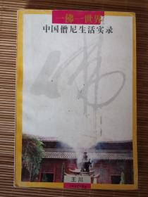 一佛一世界：中国僧尼生活实录   一版一印