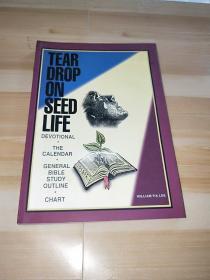 TEAR OROP ON SEED LIFE