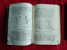 中国高等植物图鉴补编（第一二册）
