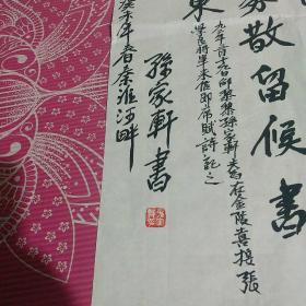 江南诗词学会会长邵力子孙女婿孙家轩书法   怀生先生指正