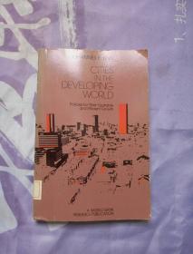CITIES IN THE DEVELOPING WORLD 【城市在发展中国家   ，促进其公平有效增长的政策 】   书名详见书影