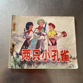 两只小孔雀