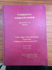 中日能源伙伴论坛-洁净煤技术研讨会报告集 2005年6月