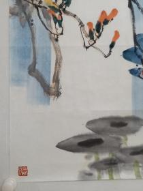 保真书画，山东名家，著名画家赵建民花鸟画佳作一幅《初荷时节》，尺寸69.5×68.5cm