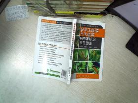 现代蔬菜病虫害防治丛书：多年生蔬菜、水生蔬菜病虫害诊治原色图鉴                    ...