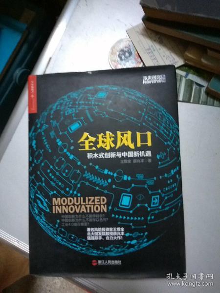 全球风口：积木式创新与中国新机遇