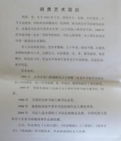 陕西书协会员 胡勇 书法作品