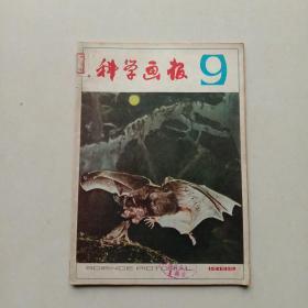 《科学画报 》1982年第9期 —— 净重70克