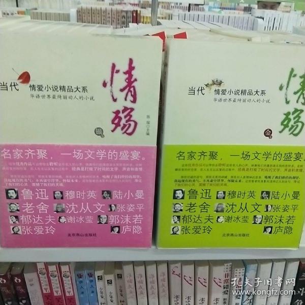 情殇 当代情爱小说精品大系 全两册