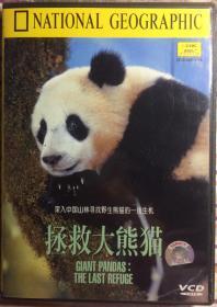 拯救大熊猫Giant Pandas: The last refuge（National geographic拍摄）