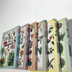 讲谈社 日本花道 花の事典 全套6册 特价