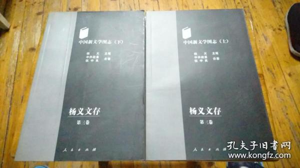 中国新文学图志 上下 杨义文存 第三卷