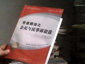 專家釋法之 公民與民事訴訟法