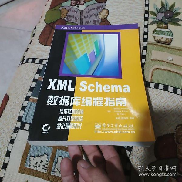 XML Schema数据库编程指南