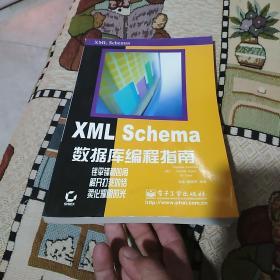 XML Schema数据库编程指南