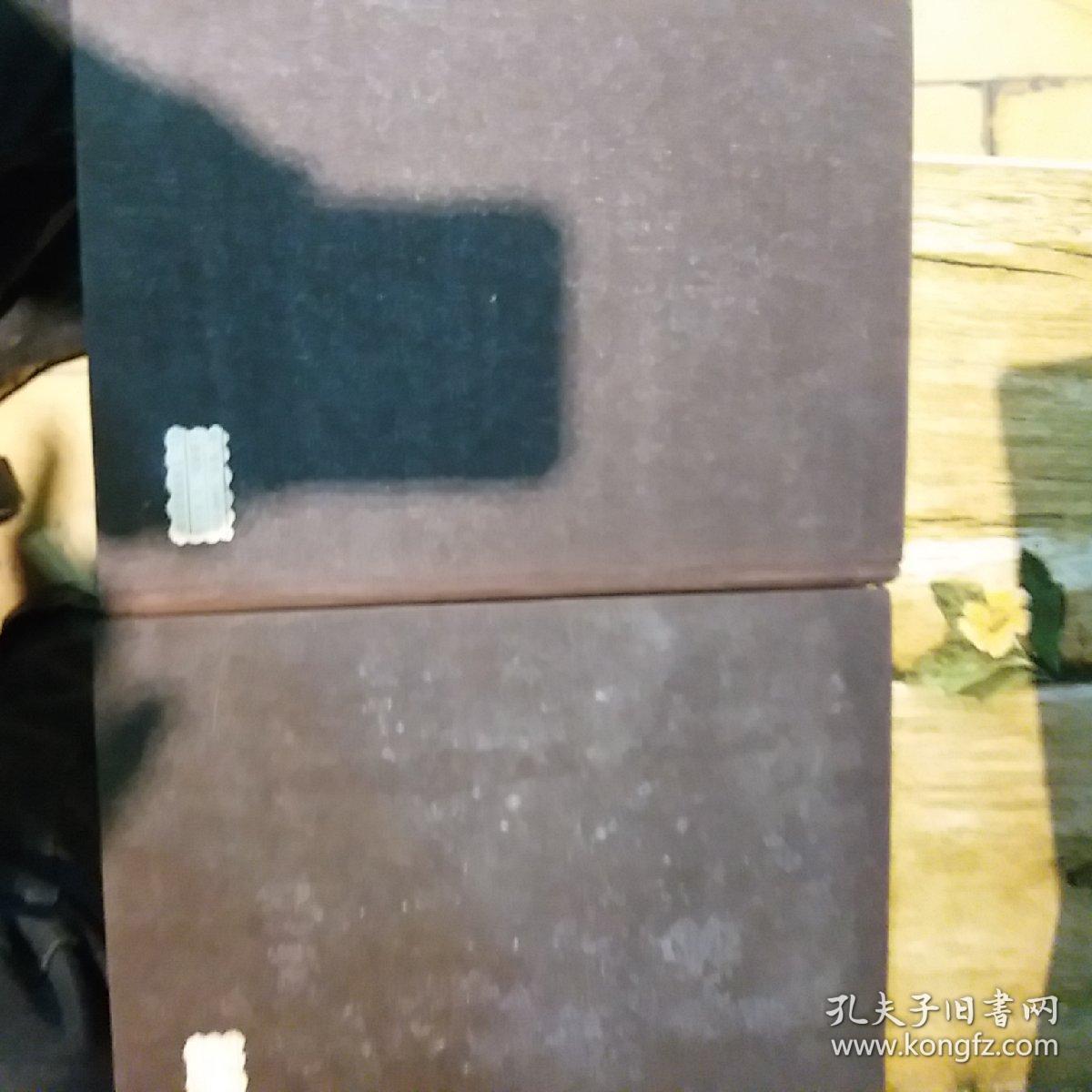 点击查看原图 实用内科学上下册