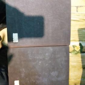 实用内科学上下册