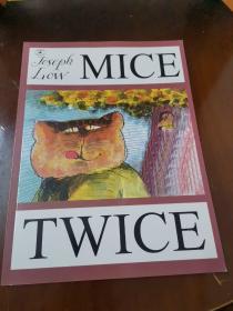 Mice Twice  两只老鼠