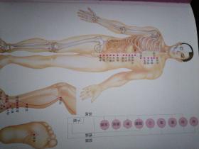 经络穴位实用图谱（汉竹）