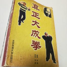 真正大成拳