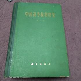 中国高等植物图鉴 第二册