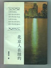 电视剧原著——《北京人在纽约》