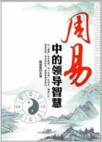 {正版}周易中的领导智慧 3DVD 赵知易 视频讲座光盘培训光碟片课程 全新未拆