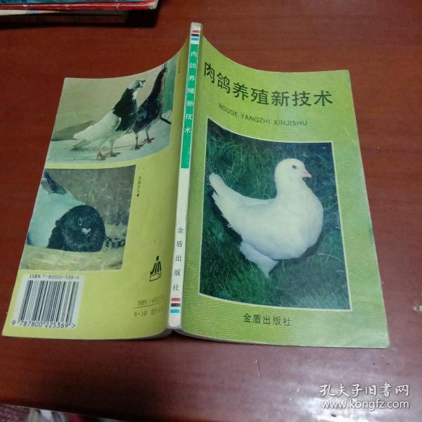 肉鸽养殖新技术