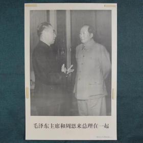 毛主席和周恩来总理-约高75厘米宽51厘米 宣传画