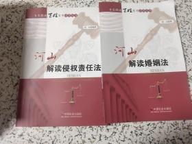 河山解读侵权责任法，解读婚姻法，两本合售