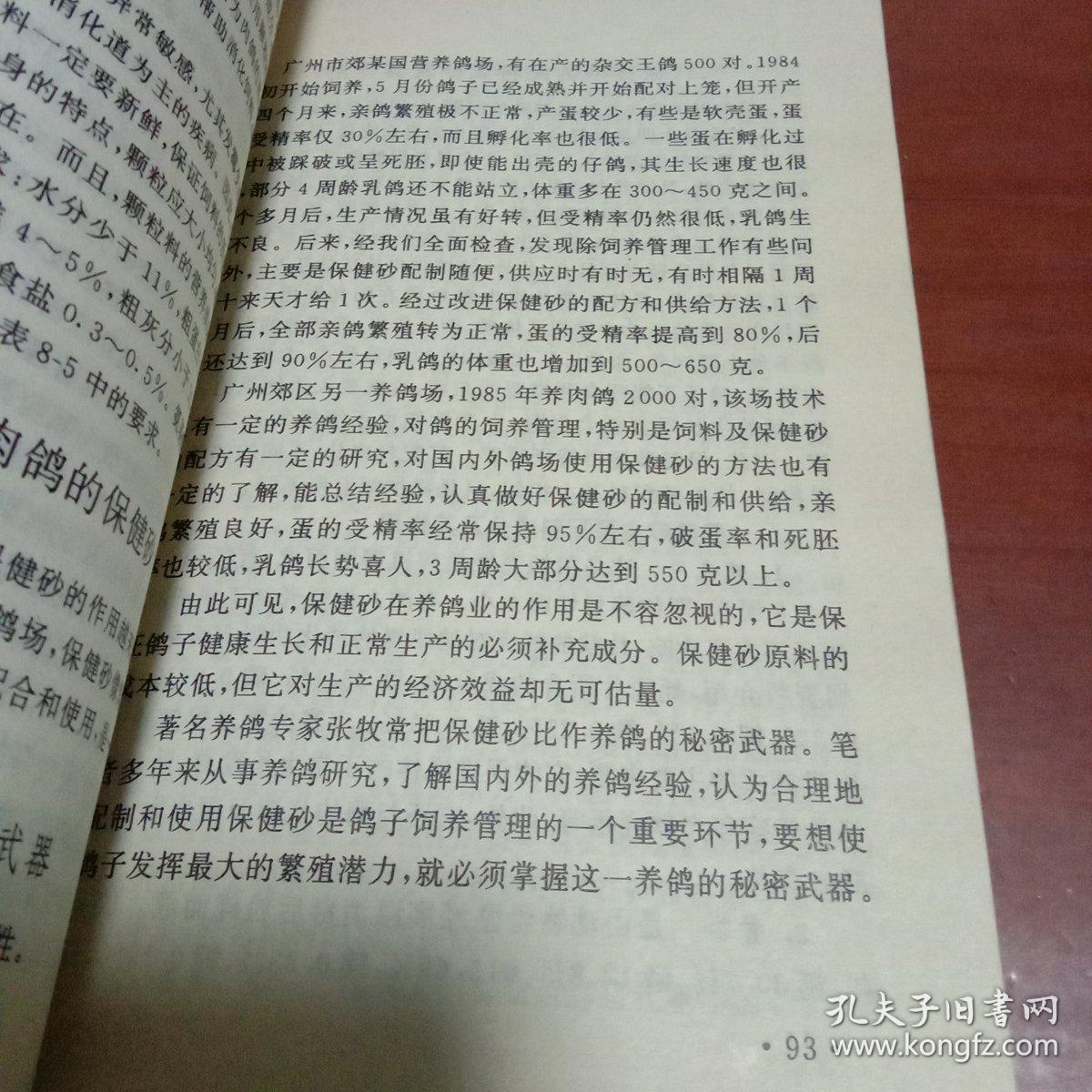 肉鸽养殖新技术