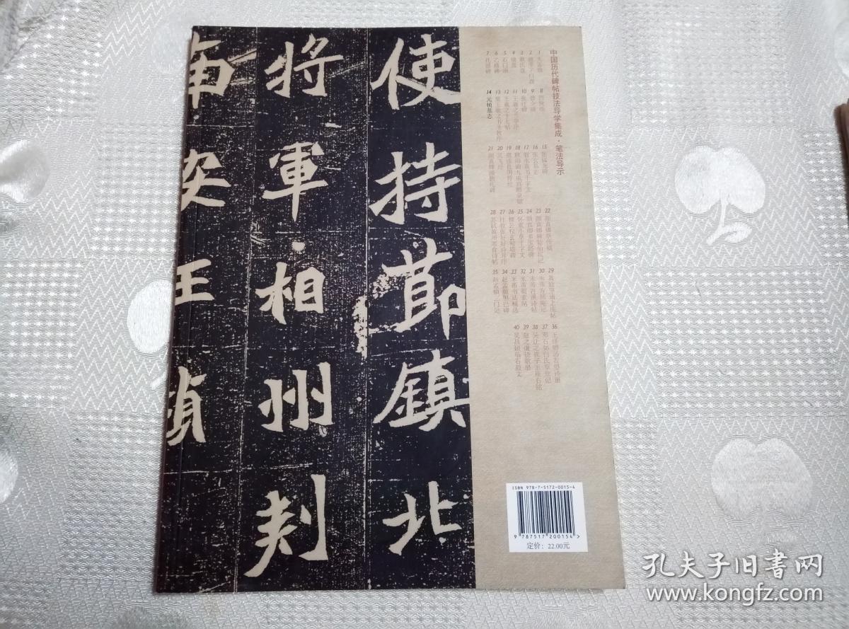中国历代碑帖技法导学集成·笔法导示（14）元桢墓志 笔法导示