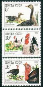 苏联邮票1990年 家禽3全新鸡鸭鹅