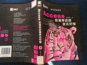 Access数据库处理技法范例