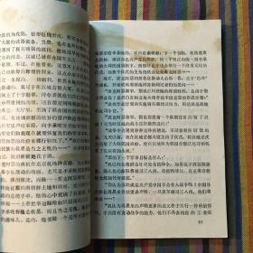 黑雪 出兵朝鲜纪实