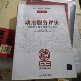 政府服务评价——中国电子政务发展水平测评（文化·组织·IT治理智库—IT治理丛书）