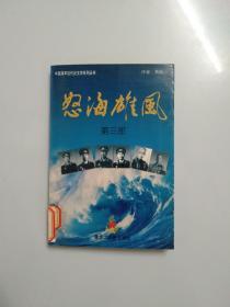 怒海雄风（第三部）——中国海军近代史文学系列丛书