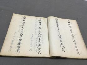 清手写族谱家谱  陳禀忠   陈氏家谱  50页100面   四方大本一册全