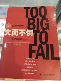 大而不倒：2010年全球政要和首席执行官争相阅读的金融危机启示录