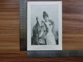 【现货 包邮】1890年小幅木刻版画《阿黛尔》(adele )尺寸如图所示（货号400507）