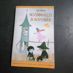 Moominvalley in November