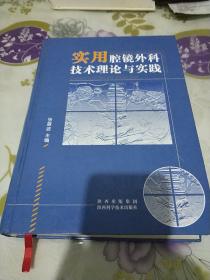 实用腔镜外科技术理论与实践