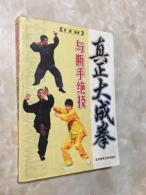 真正大成拳