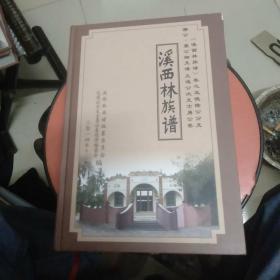 溪西林族谱：卷之五德隆公分支密支-寰公细支谱文道公次支士勇公卷