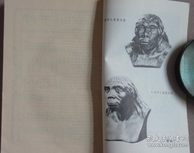 中国史稿（3册合售）