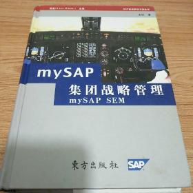 mySAP集团战略管理