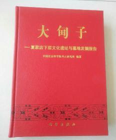 大甸子 ——夏家店下层文化遗址与墓地发掘报告