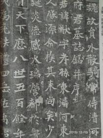 画页（印刷品）--书法--北魏·崔猷墓志铭192
