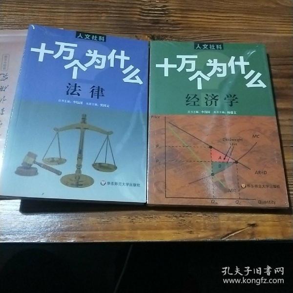 人文社科·十万个为什么 经济学