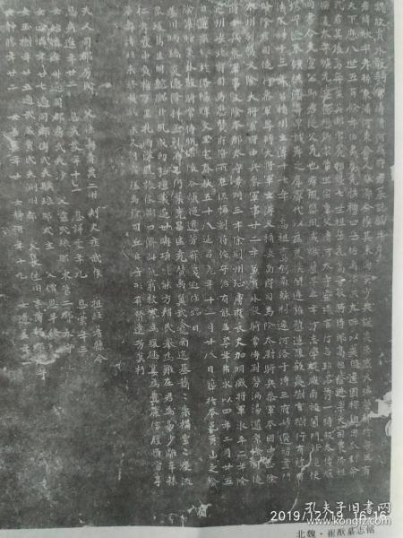 画页（印刷品）--书法--北魏·崔猷墓志铭192